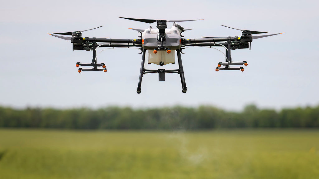 DJI Agras T30 spraying wheat field